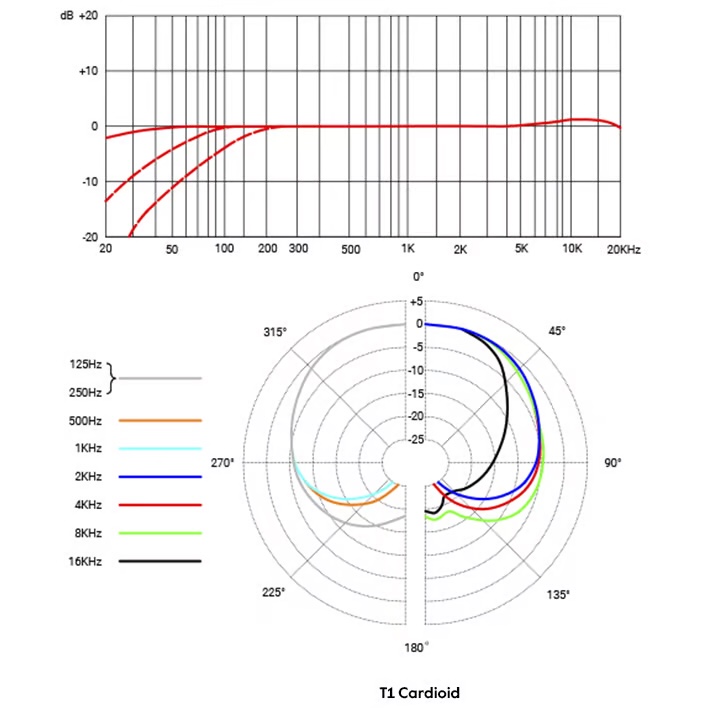 sE Electronics T1 心形指向電容麥克風(fēng)
